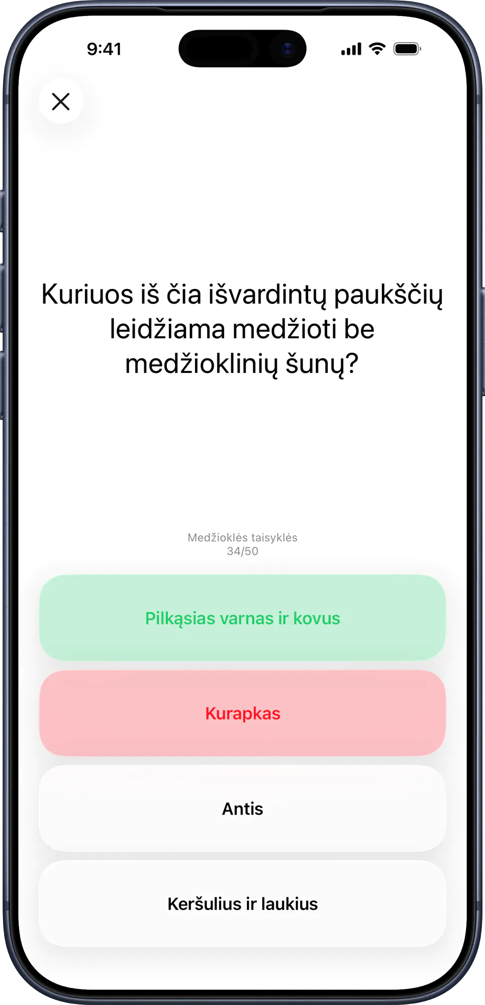 Testinio klausimo pavyzdys